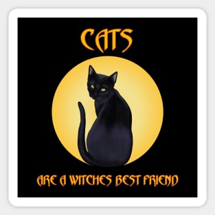 Cats are a witches best friend Sticker